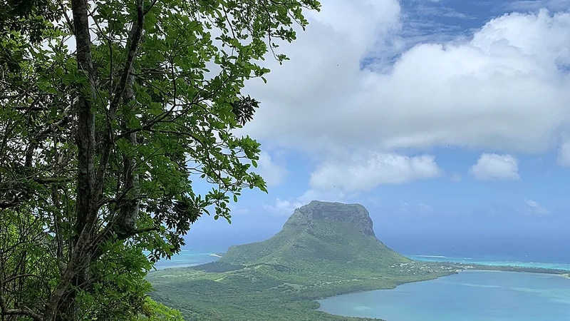 Study in Mauritius