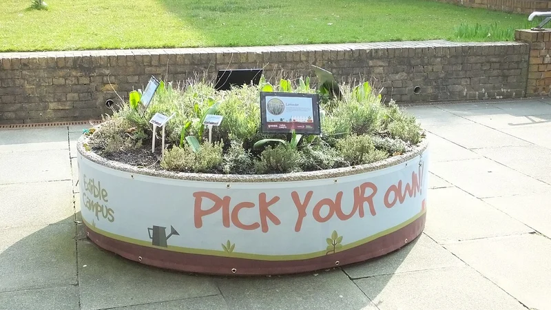 Lancaster University (INTO) Campus