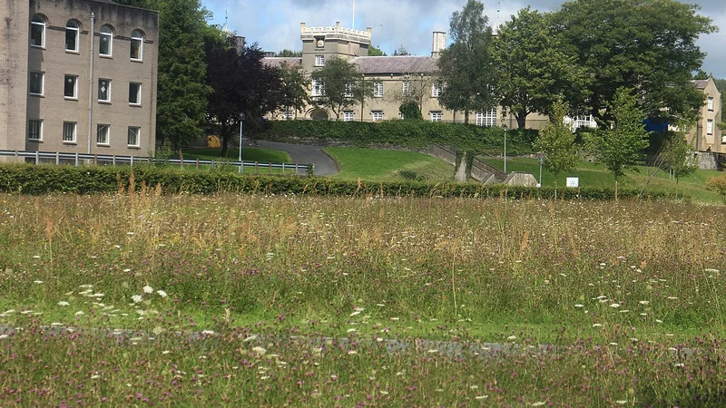 University of Wales Trinity Saint David, London Campus