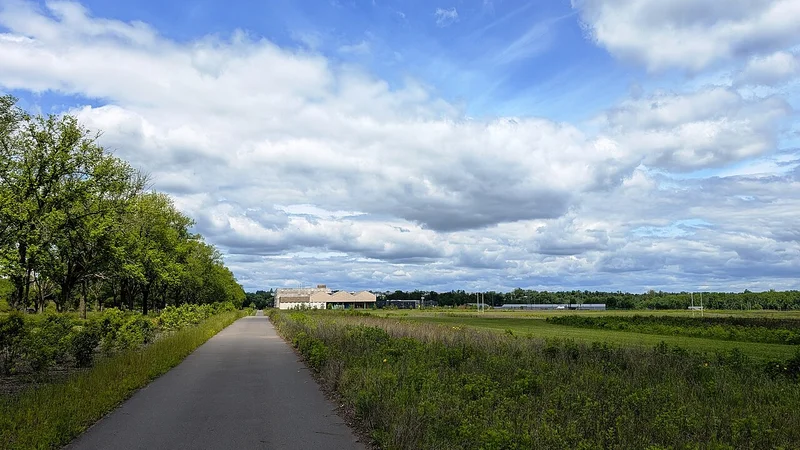 University of Windsor Campus