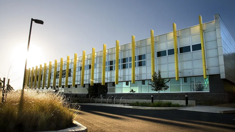 UNSW College Campus